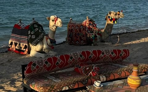 La Tenda Hurghada Arabian Nights Show with Dinner Folklore