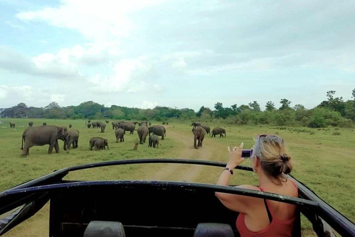 Private Jeep Safari at Kaudulla National Park