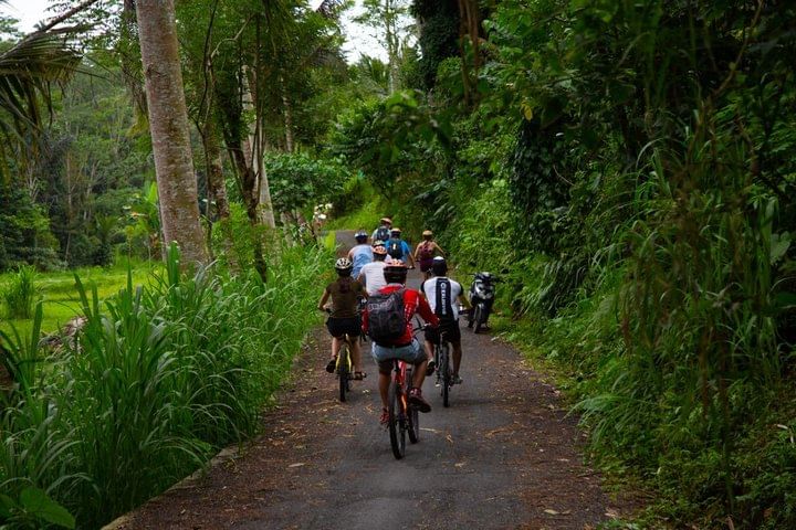 Spiritual Journey with private purification ceremony, local priest - Ubud