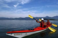 Mangrove and Beach Kayak Tour BY PARATY TOURS 5