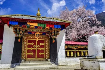 7-Day Nature and Sightseeing Tour in Lhasa, Tibet