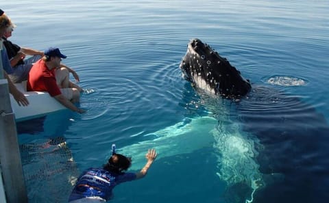 Whale Watching Tour from Koggala to Mirissa, Sri Lanka