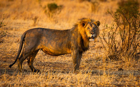 Tanzania Active Family Adventure
