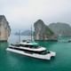 Luxury Catamaran Day Cruise to Lan Ha From Hanoi By Expressway
