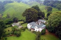 Kiambethu tea farm