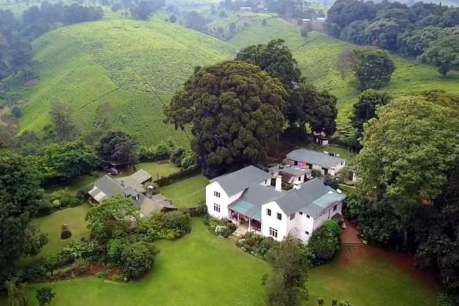 Kiambethu tea farm