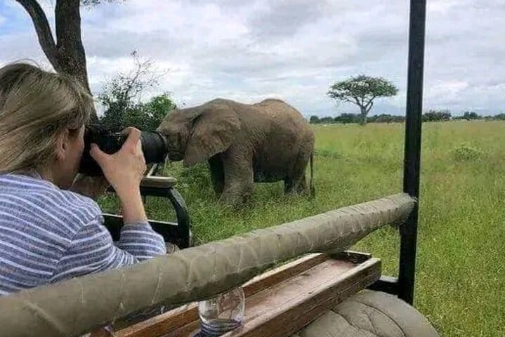 Baraka Aquarium in Swimming with Turtles and Sunset Dhow Cruise