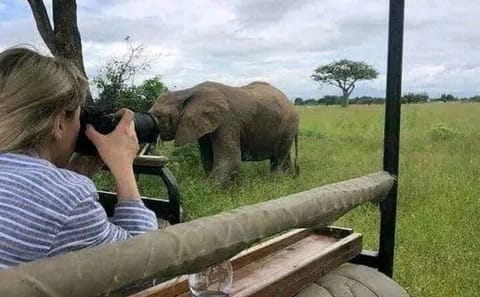 Three-Day Private Jeep Safari on Zanzibar Island