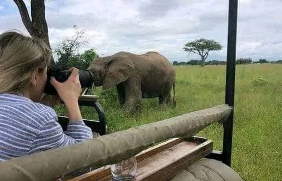 Jeep Safari Zanzibar Island 3 Day Private Tour