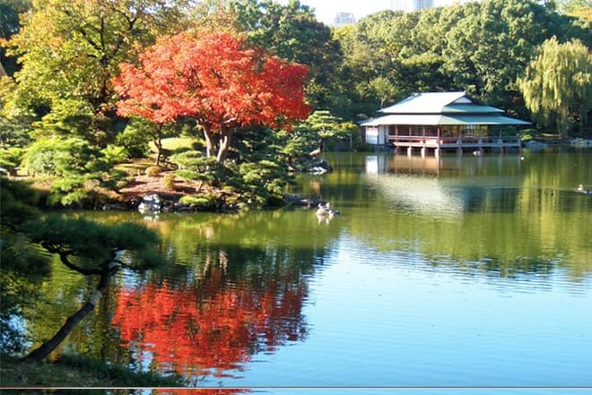 tea house in Kiyosumi Teien park