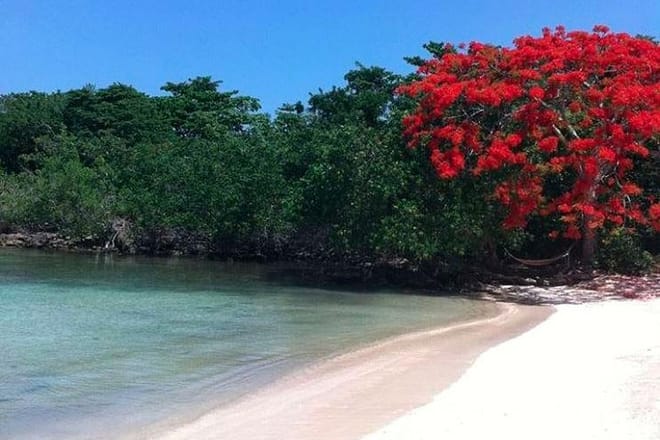 Half Moon Beach