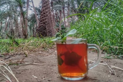 Private Dahshur Tour To Pyramids and Egyptian Farmland with Lunch