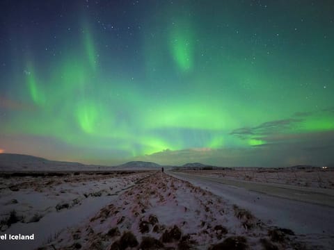 Northern Lights Small Group Tour, photo 3