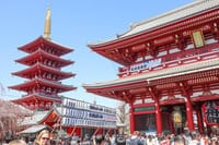 Asakusa Cultural Walk & Matcha Making Tour 4