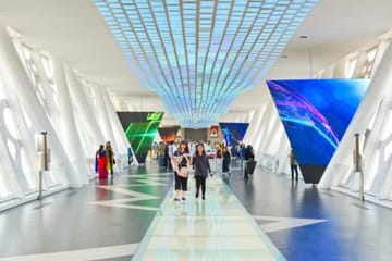 Dubai Frame and Safari Park Tour with Private Transfers