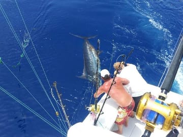 Deep Sea Fishing Adventure in Punta Cana, Dominican Republic