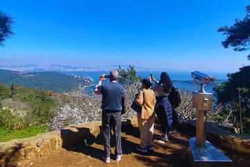 Half Day Princes’ Islands Tour