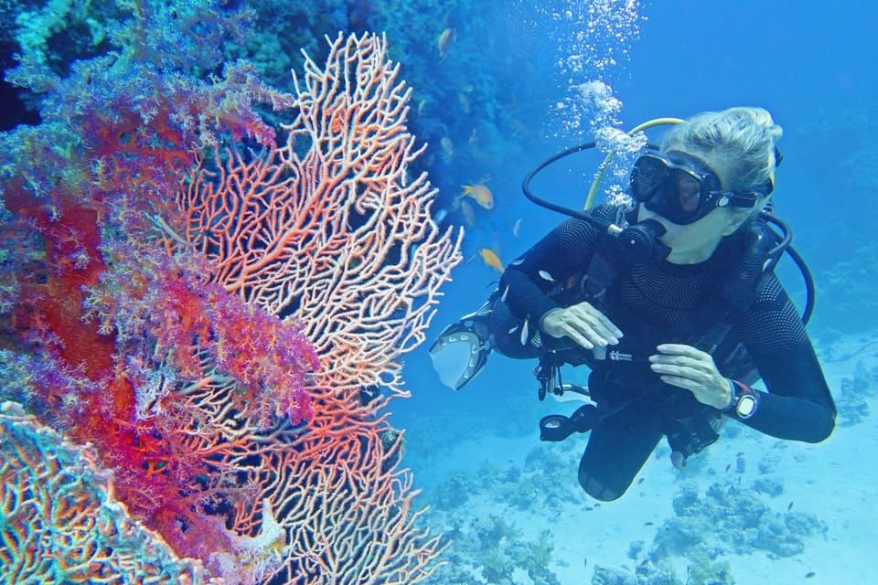 Immersioni avanzate a Ras Mohamed - Stepway Tours