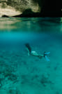 Private Swimming Pigs Tour from Nassau 7