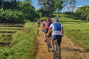 Village Cycling Tour with Lunch