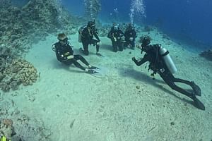 Course for Padi OW in Red Sea and Sinai