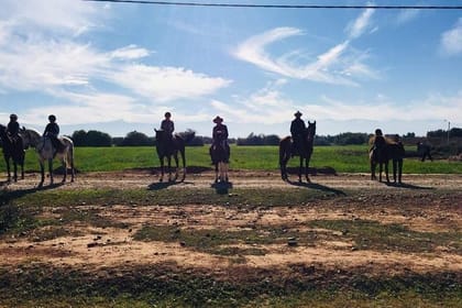 Marrakech Horse Riding