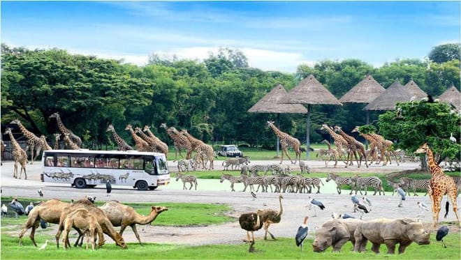 BANGKOK: Join Tour: Full Day Tour Safari World - Marine Park - Buffet Lunch with Private Transfer 10