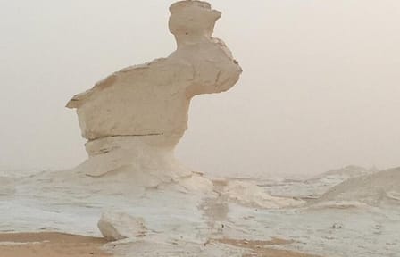 Two-Day Private Tour of Black and White Desert from Cairo