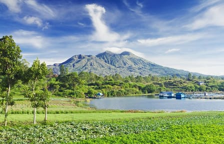 Private Day Trip to Ubud and Mount Batur in Bali