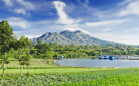 Private Day Trip to Ubud and Mount Batur in Bali