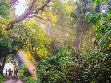 Chitwan National Park 3-Day Tour from Kathmandu by Flight