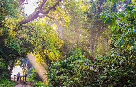 3-Days Chitwan National Park Tour from Kathmandu via Flight