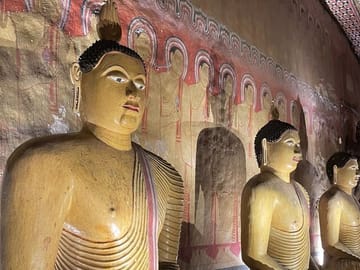 Private 3-Day Cultural Triangle Tour in Sri Lanka