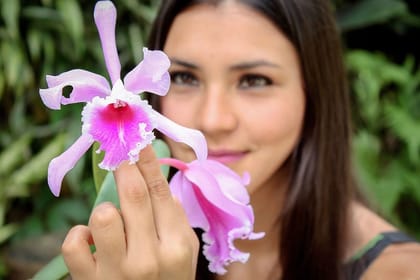 Tar-09 : Wildlife Wonderland – Tarapoto’s Alto Mayo Reserve