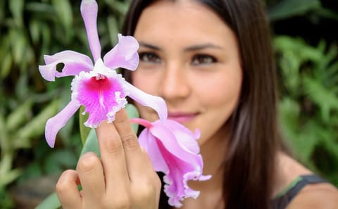 Wildlife Tour of Alto Mayo Reserve in Tarapoto, Peru
