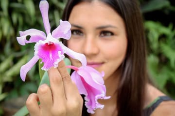 Wildlife Tour of Alto Mayo Reserve in Tarapoto, Peru