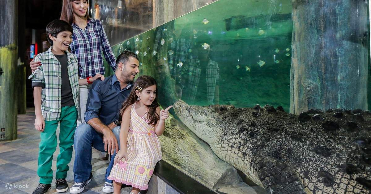 Explore dubai aquarium with tour visionary