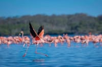 Circuit: Wonders of the South for 3 days from Santo Domingo 3
