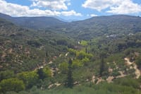 Olive Oil Mill Raki Distillery and Heraklion City Private Tour 3
