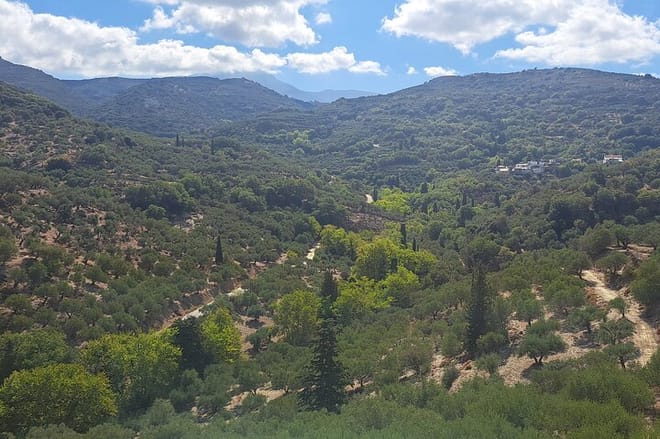Olive Oil Mill Raki Distillery and Heraklion City Private Tour 3