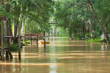 Buenos Aires Shore Excursion: Half-Day Tour to Tigre Delta