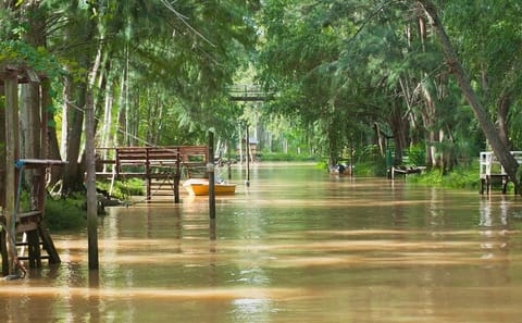 Half-Day Tigre Delta Tour from Buenos Aires with Boat Ride