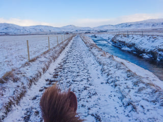 03A - Meadows and Mountains, photo 6