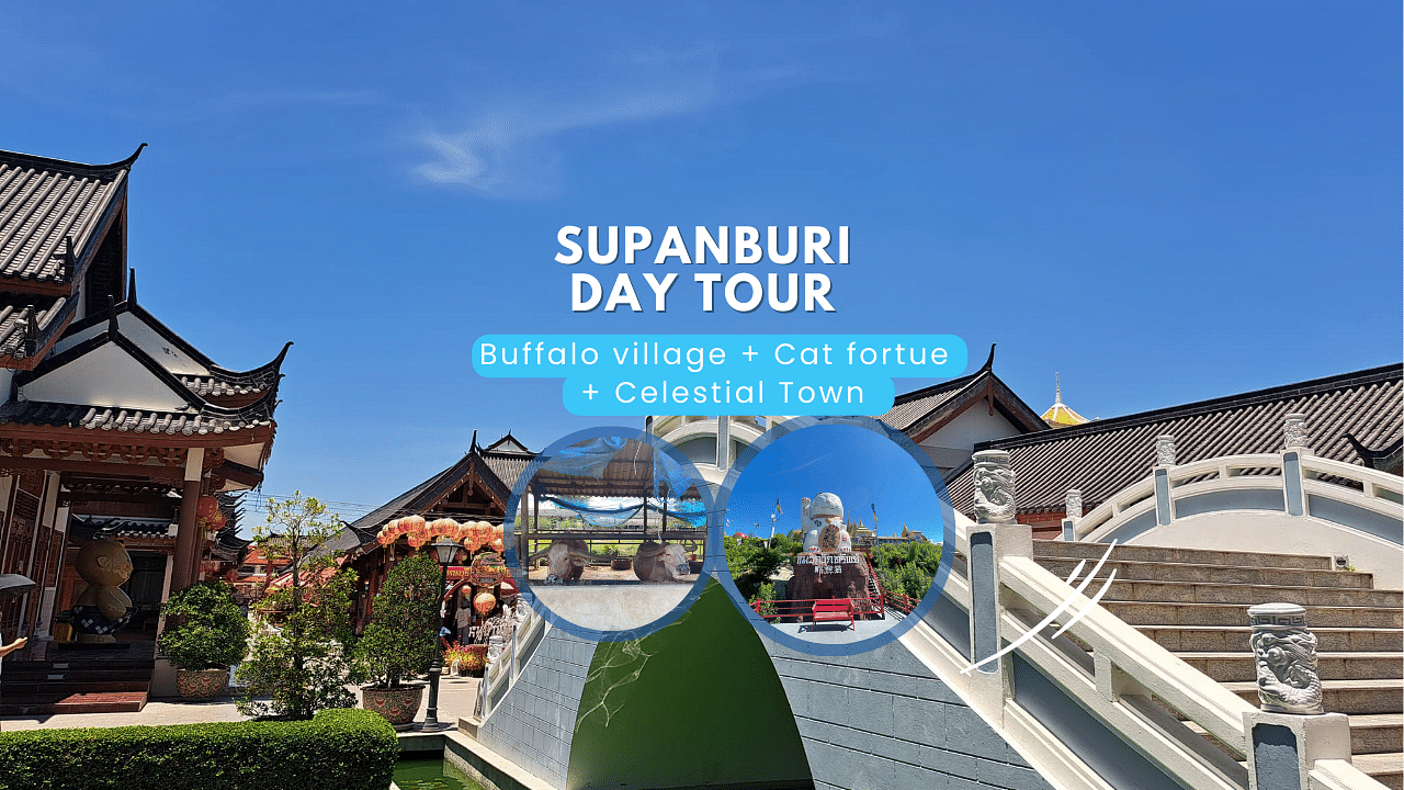 Explore Buffalo Village, Celestial Dragon Town & Market in Suphan Buri