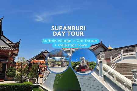 Explore Buffalo Village, Celestial Dragon Town & Market in Suphan Buri