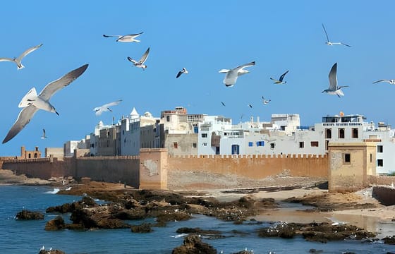 Day Trip To Essaouira From Marrakech