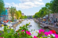 Amsterdam private walking tour + boat ride + museum (Van Gogh, Anne Frank, Rijksmuseum) 3