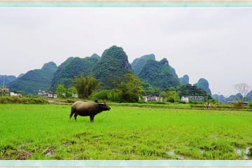 Private 3-Day Tour of Guilin and Yangshuo Landscapes