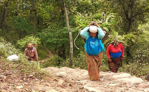Private Hiking and Boating Tour at Peace Pagoda, Pokhara