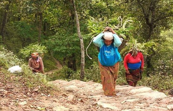 Private Hiking Tour to Peace Pagoda Including Fewa Lake Boating